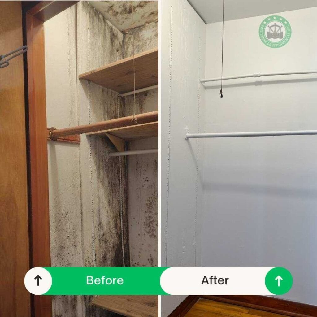 Before after mold remedition FIve Stars Environmental Inc.